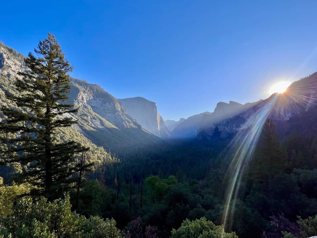 Essential Tips For Visiting Yosemite National Park