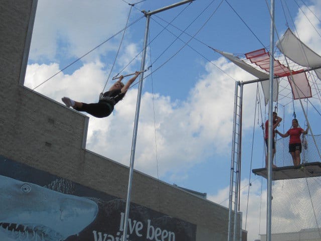 try the Trapeze Cincinnati Circus Company