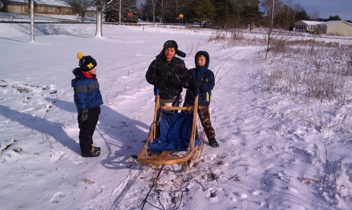 Driving a dog sled