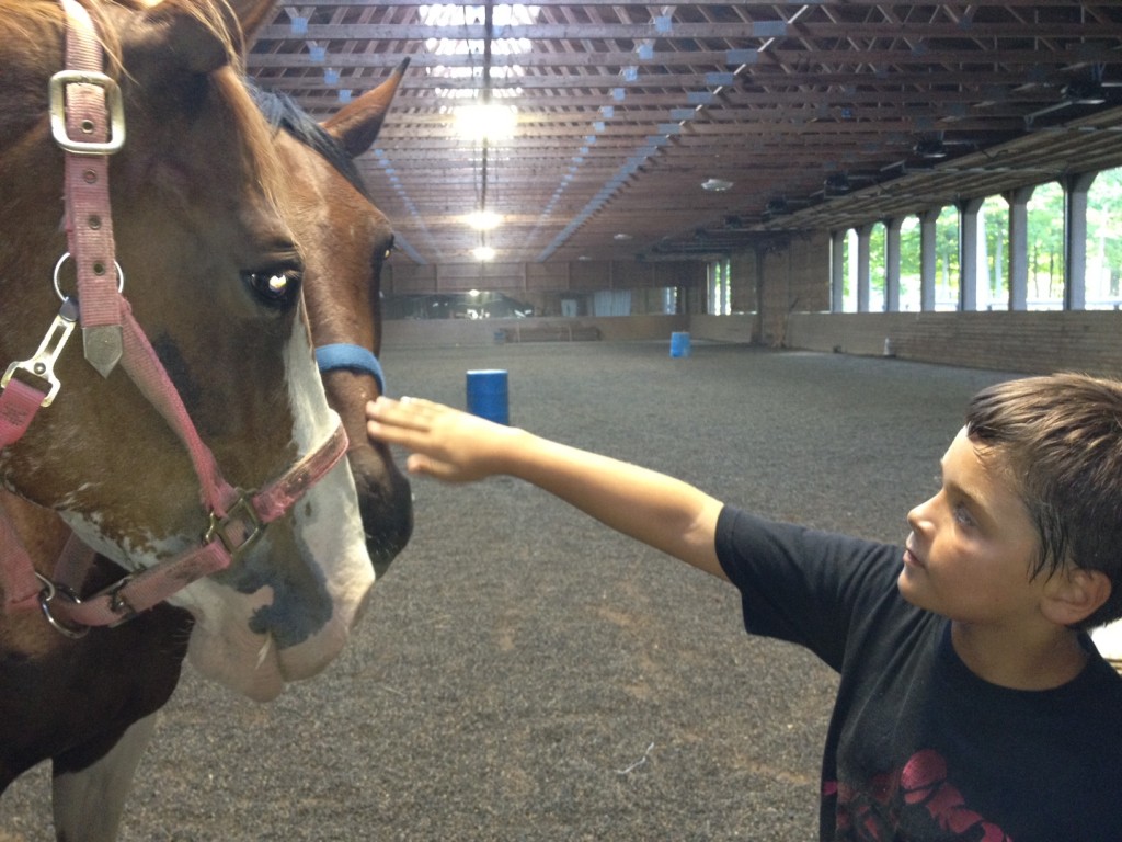 EAD Horses who help heal