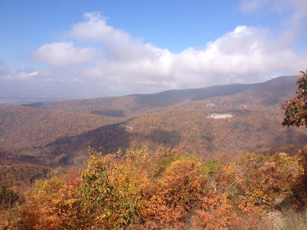 Taking the Scenic Route on Skyline Drive