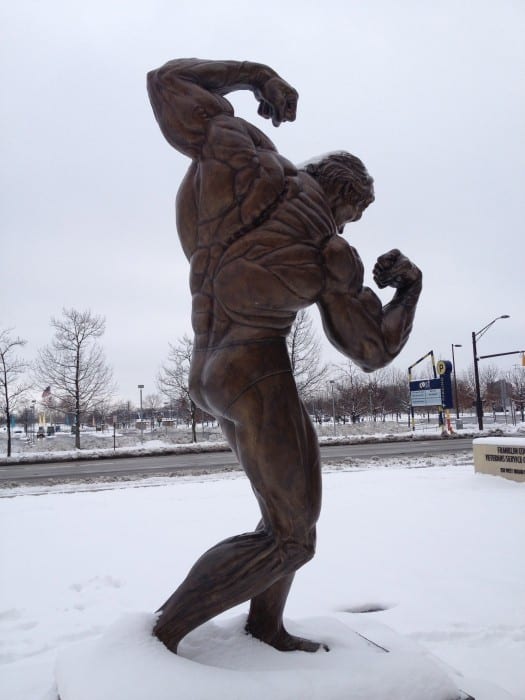 Arnold Schwarzenegger statue
