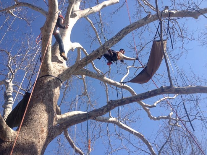 Adventure Mom climbing with EarthJoy Tree Adventures