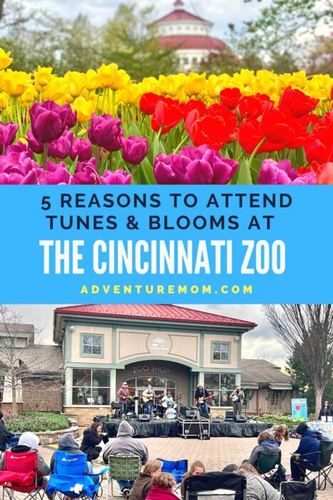 5 Reasons to Attend Tunes & Blooms at The Cincinnati Zoo