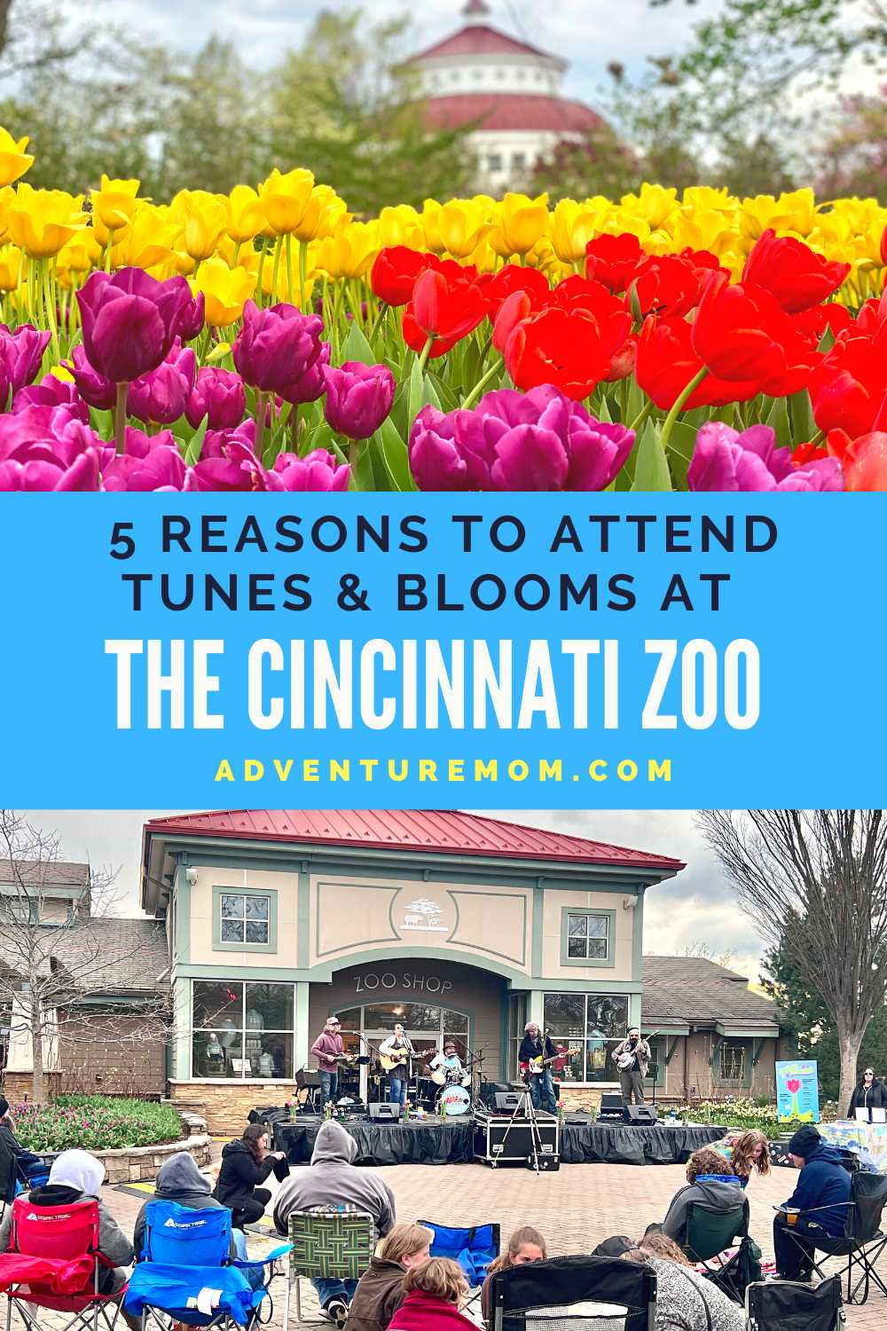 5 Reasons to Attend Tunes & Blooms at the Cincinnati Zoo