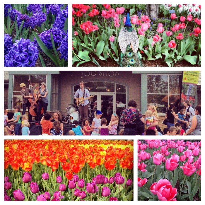 Tunes and Blooms at the Cincinnati Zoo
