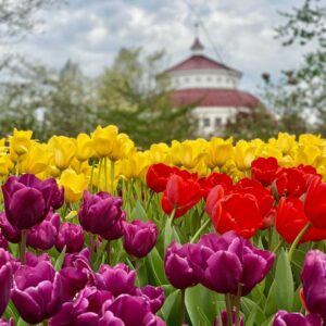 Tunes and Blooms at The Cincinnati Zoo
