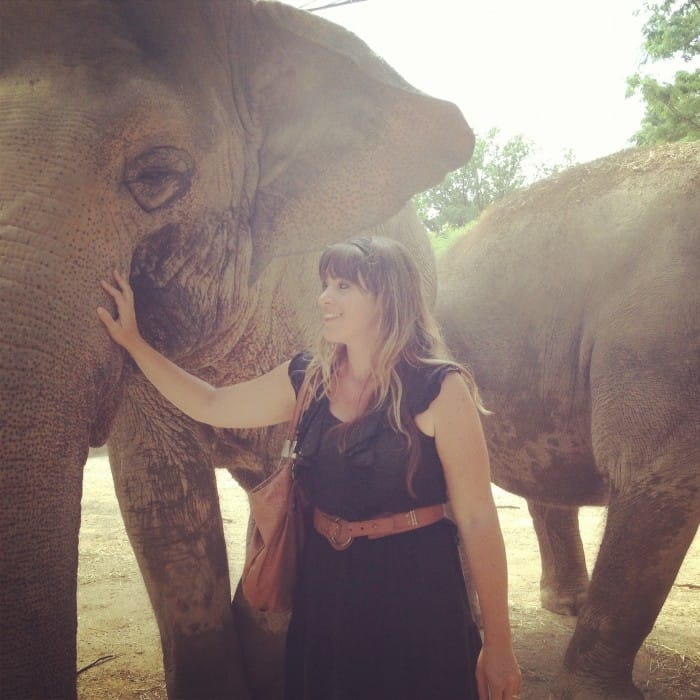 Adventure Mom with elephant at Cincinnati Zoo