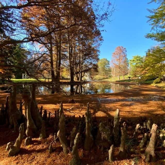 Scenic Views At Spring Grove Cemetery And Arboretum