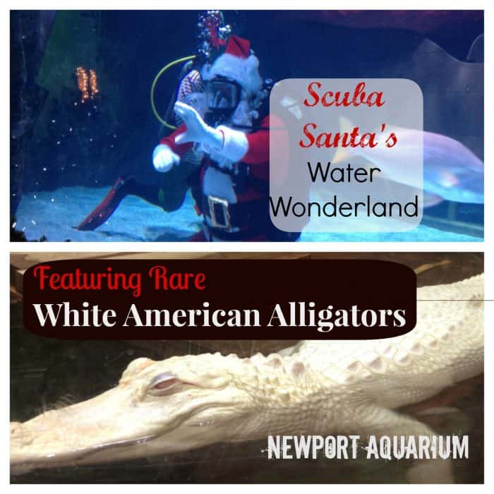 Scuba Santa at Newport Aquarium