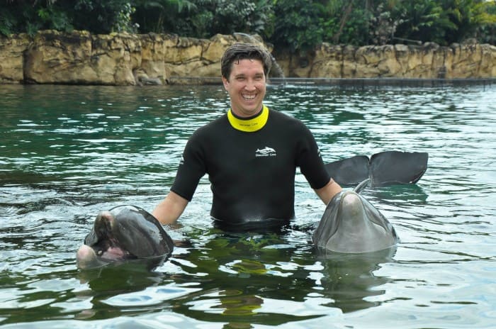 swim with dolphins Discovery Cover Orlando Florida