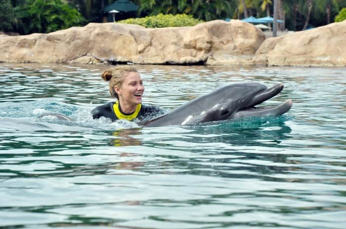 swim with dolphins Discovery Cover Orlando Florida
