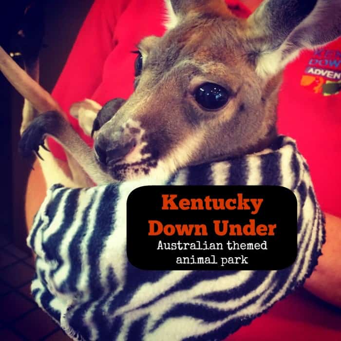Kentucky Down Under Australian themed Animal Park 
