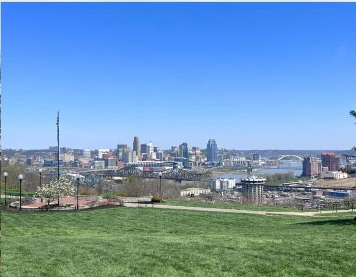 City skyline view from grassy hill with flag and clear blue sky.