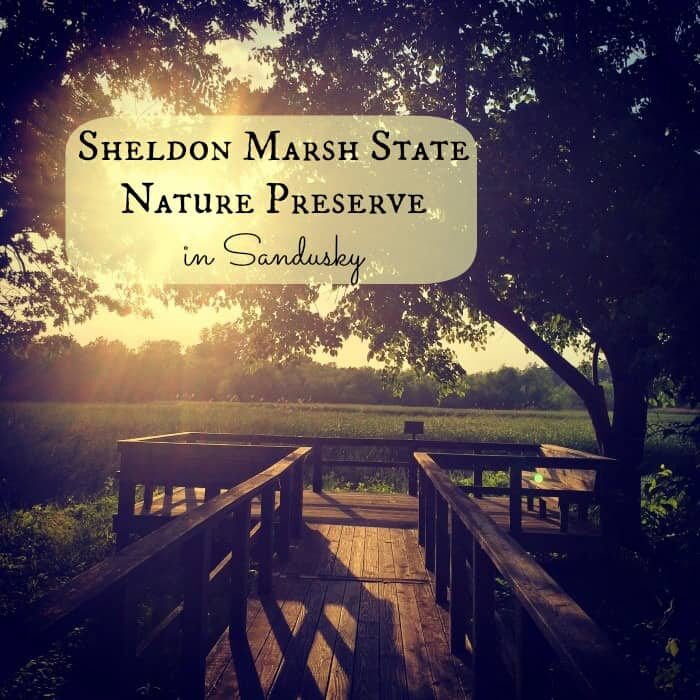 Sheldon Marsh State Nature Preserve in Sandusky