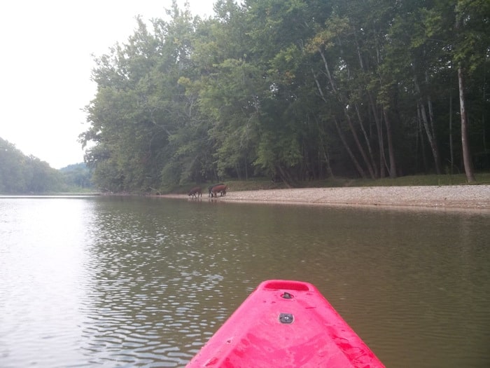 Kayaking at Morgan's Brookville Canoe and Outdoor Adventures 