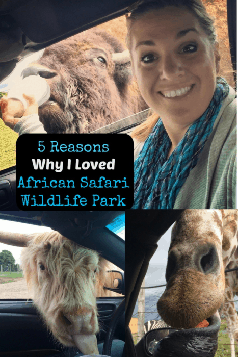 5 Reasons Why I loved African Safari Wildlife Park