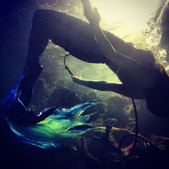 Mermaids at Newport Aquarium