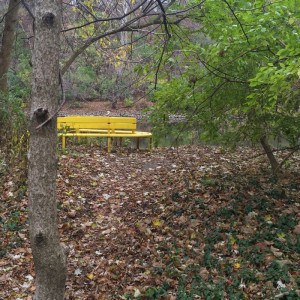 The Virginia B. Fairbanks Art & Nature Park: 100 Acres -Exploring the