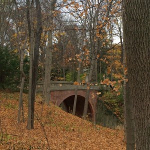 The Virginia B. Fairbanks Art & Nature Park: 100 Acres -Exploring the