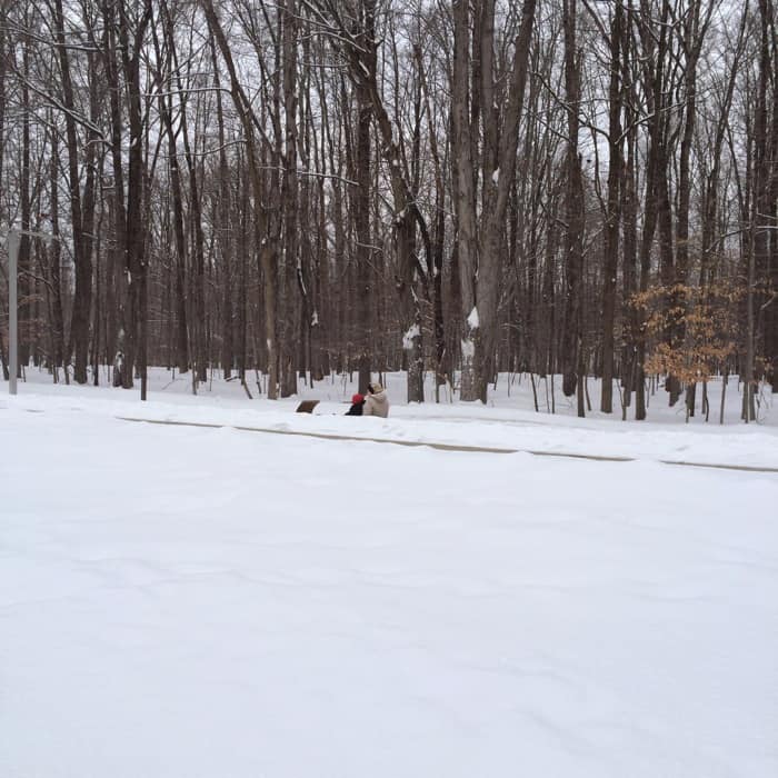 Winter Fun on the Toboggan Chutes at Cleveland Metroparks