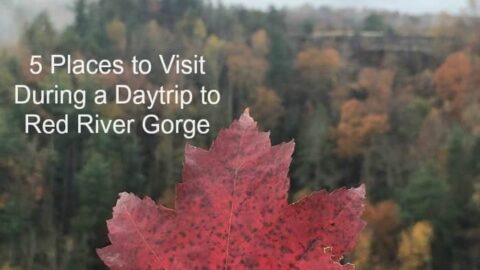 Image for 5 Places to Visit During a Daytrip to Red River Gorge