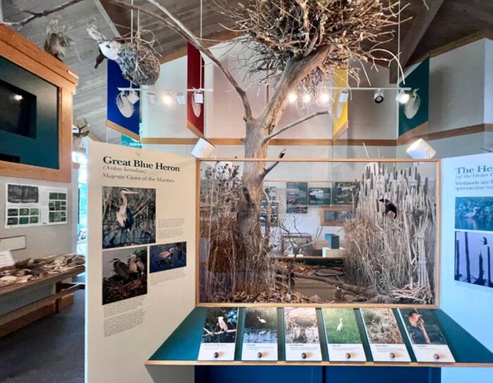 exhibit at Trautman Nature Center at Maumee Bay State Park
