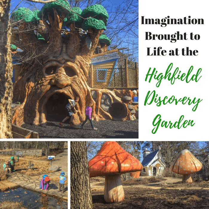 Imagination brought to life at the Highfield Discovery Garden