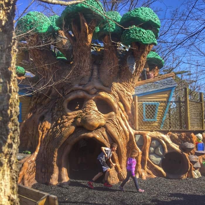 The Highfield Discovery Garden 25 ft treehouse