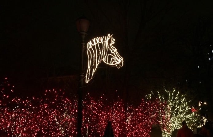 Lights Before Christmas at the Toledo Zoo 