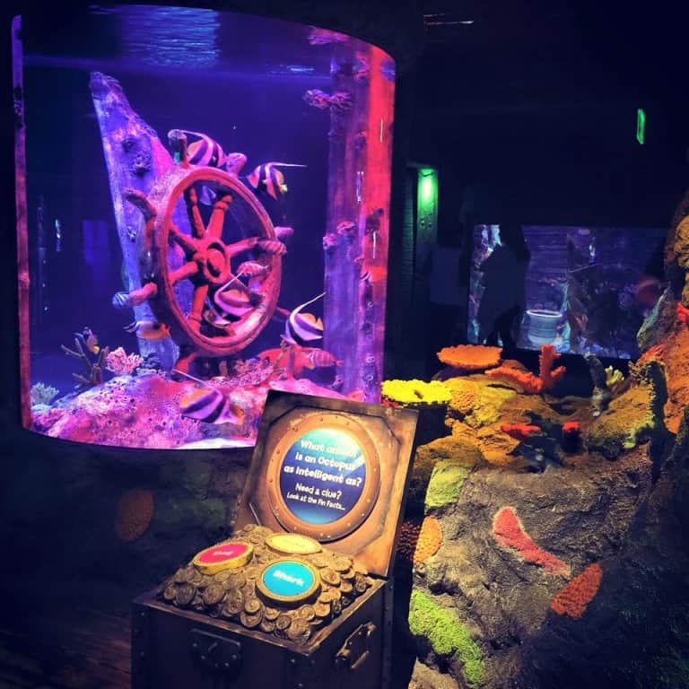 Fun Things to Do in Kansas City, Missouri Adventure Mom