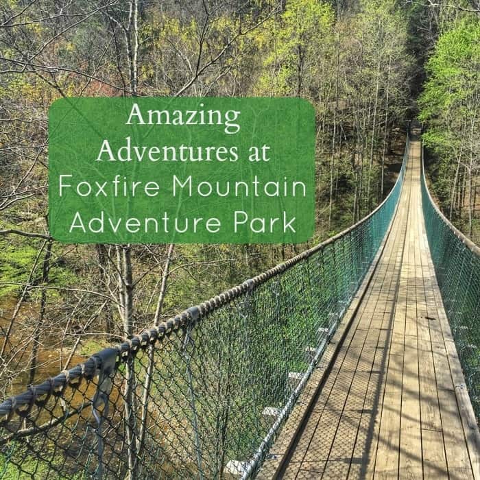 Amazing Adventures at Foxfire Mountain Adventure Park
