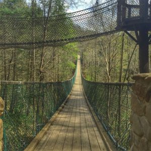 Amazing Adventures at Foxfire Mountain Adventure Park - Adventure Mom