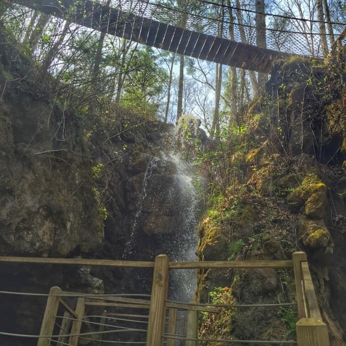 Foxfire Mountain Adventure Park waterfall 2
