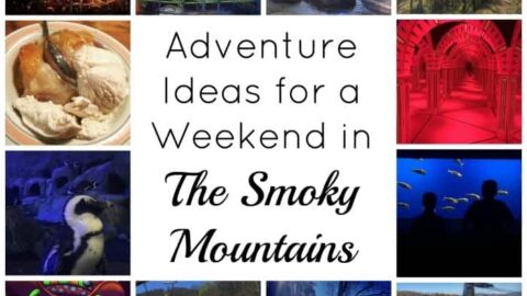 Image for Adventure Ideas for a Weekend in the Smoky Mountains