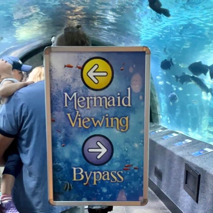 Mermaid Viewing sign at Newport Aquarium 