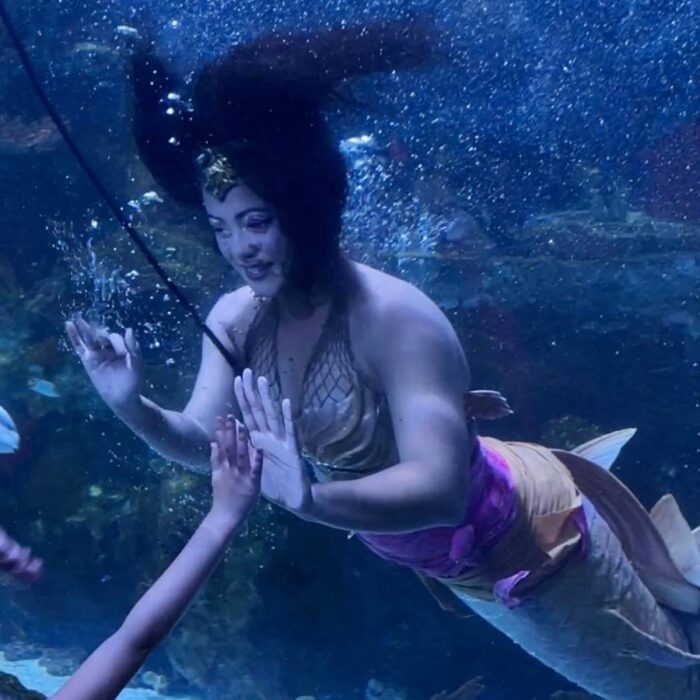 Mermaid at Newport Aquarium 