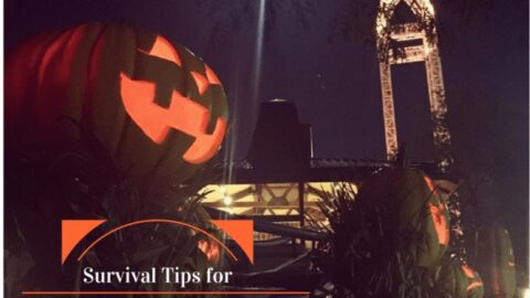 Image for Survival Tips for HalloWeekends at Cedar Point if You Don't like Scary Things