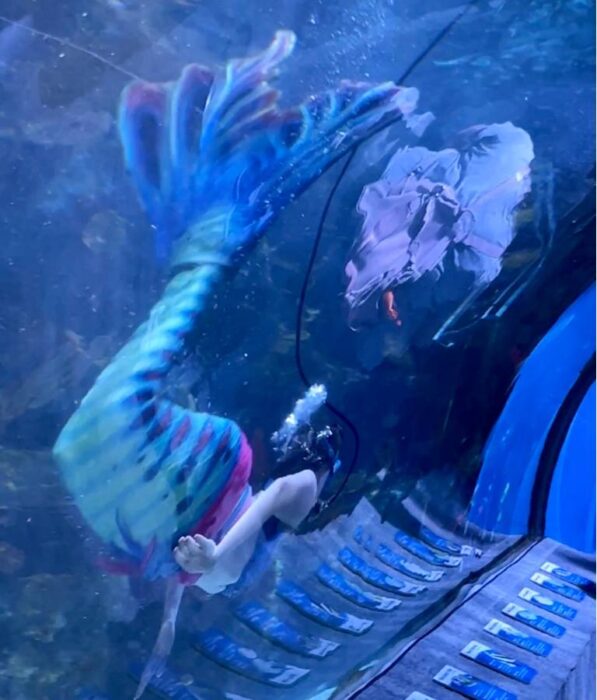 mermaid at Newport Aquarium