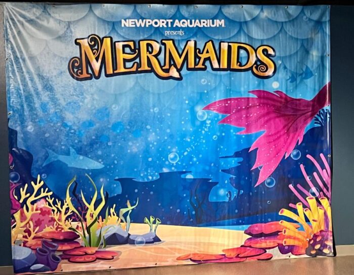 photo opp for mermaids at Newport Aquarium 
