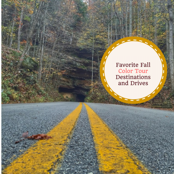 Favorite Fall Color Tour Destinations and Drives