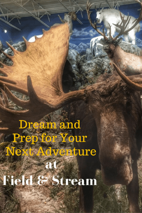 Dream and Prep for Your Next Adventure at Field Stream