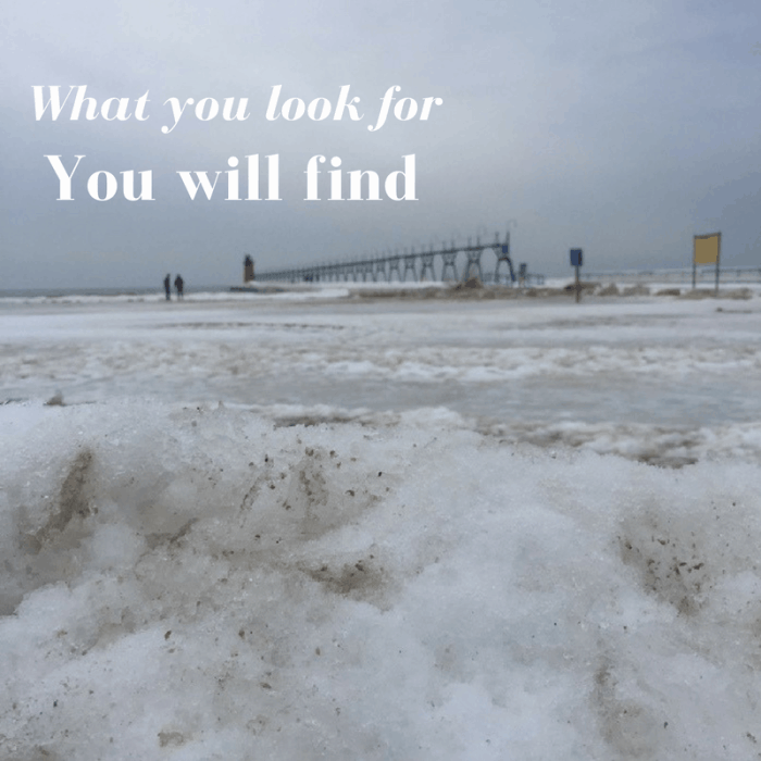 What you look for you will find