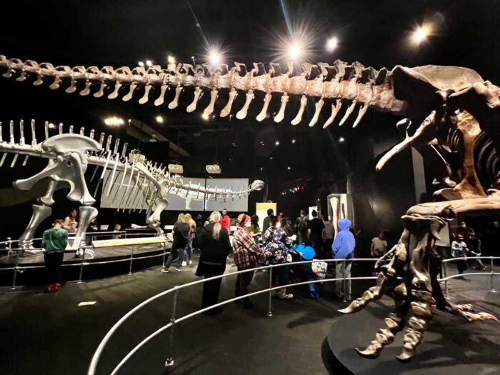 Dinosaur exhibit at COSI in Columbus Ohio