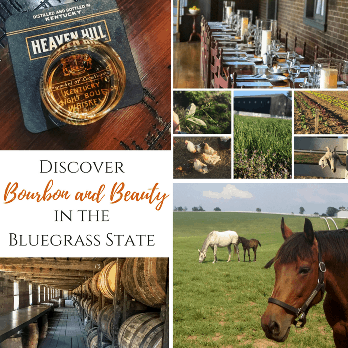 Discover Bourbon and Beauty in the Bluegrass State 3