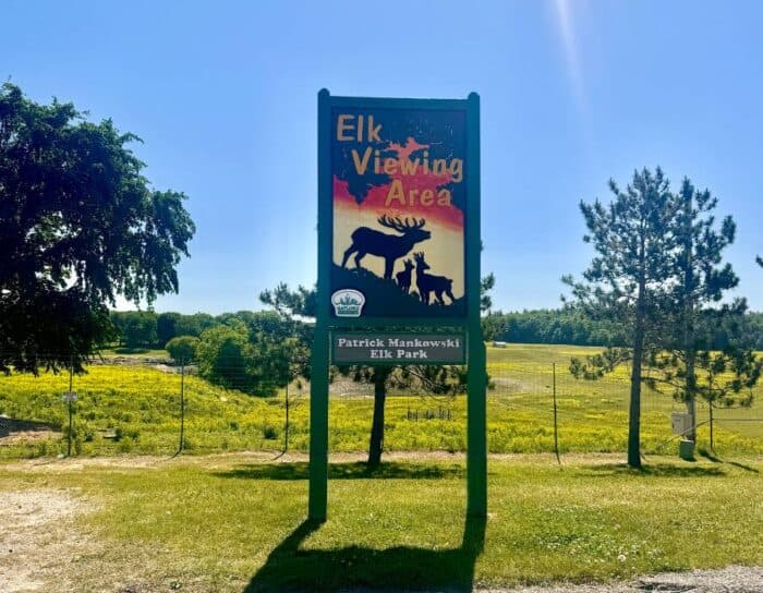 Elk viewing area Gaylord Michigan