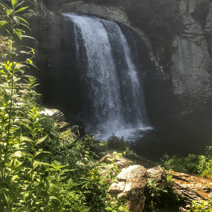Waterfall at Pisgah National Forest