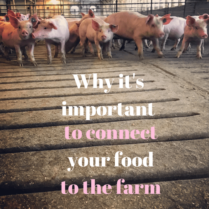 Why its Important to Connect Your Food to the Farm 1