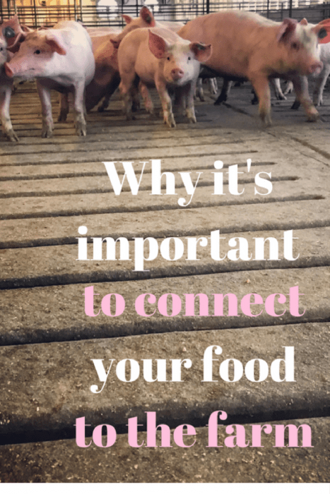 why it is important to connect your food to the farm