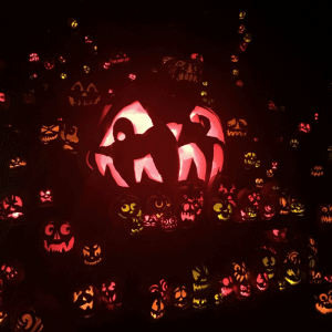 louisville jack o lantern spectacular 2016